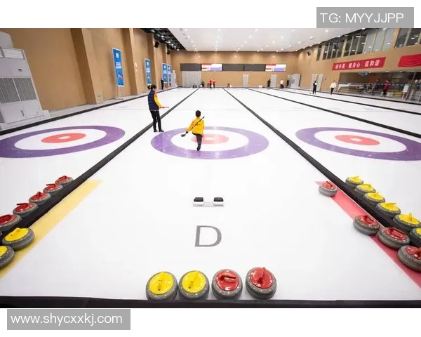 2016年冰壶锦标赛俄罗斯队精彩对决回顾与分析