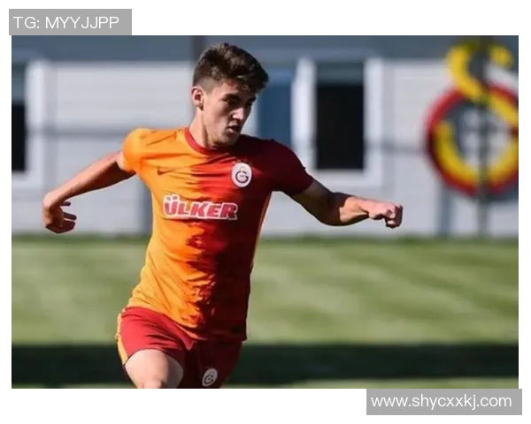 坎塞洛在球队中的角色转变与未来发展潜力分析