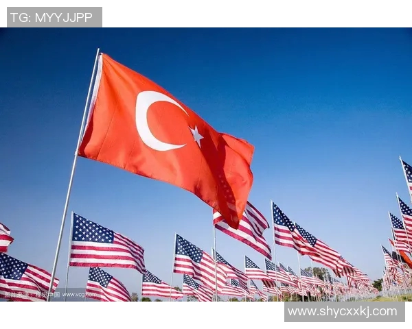 美国队与土耳其激战比分揭晓精彩瞬间回顾与分析