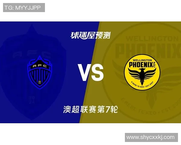 惠灵顿凤凰对阵悉尼FC赛事分析及战术解析全面解读