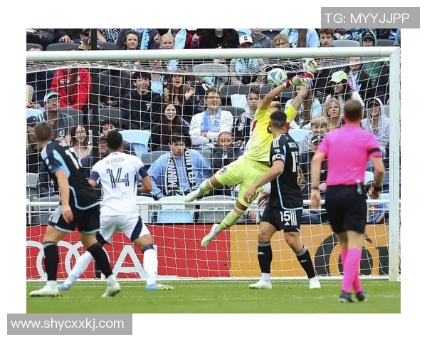 明尼苏达对决达拉斯F精彩赛事回顾与分析 明尼苏达对决达拉斯F精彩赛事回顾与分析