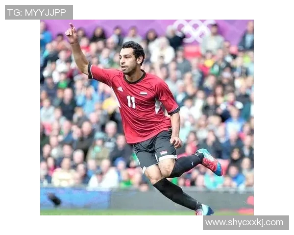 尼日利亚与埃及足球对决前瞻及胜负预测分析