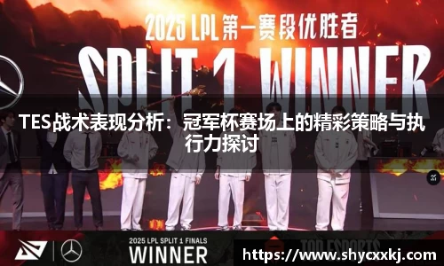 TES战术表现分析：冠军杯赛场上的精彩策略与执行力探讨