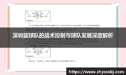 深圳篮球队的战术控制与球队发展深度解析